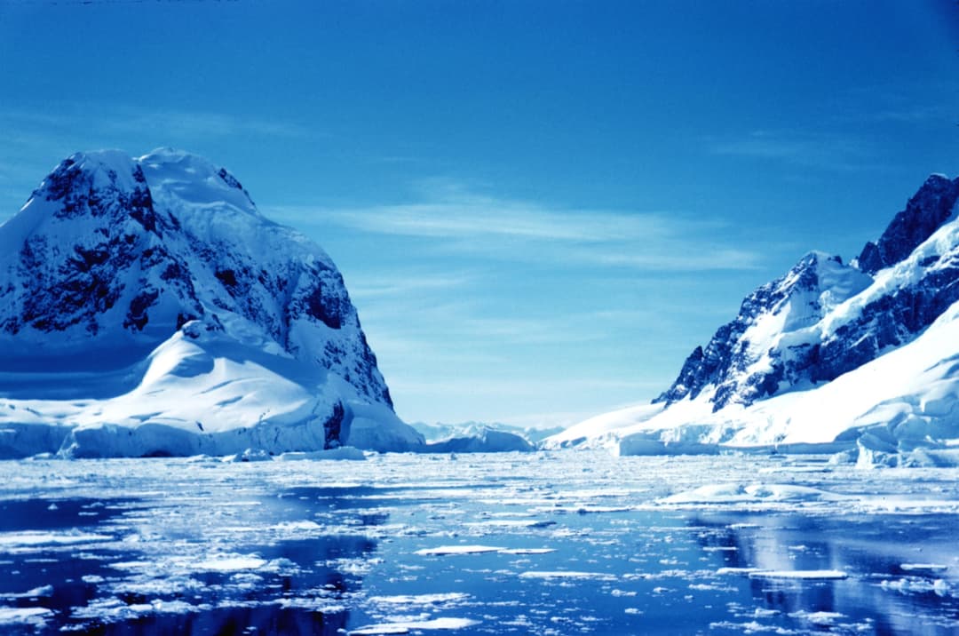 Cover image of article